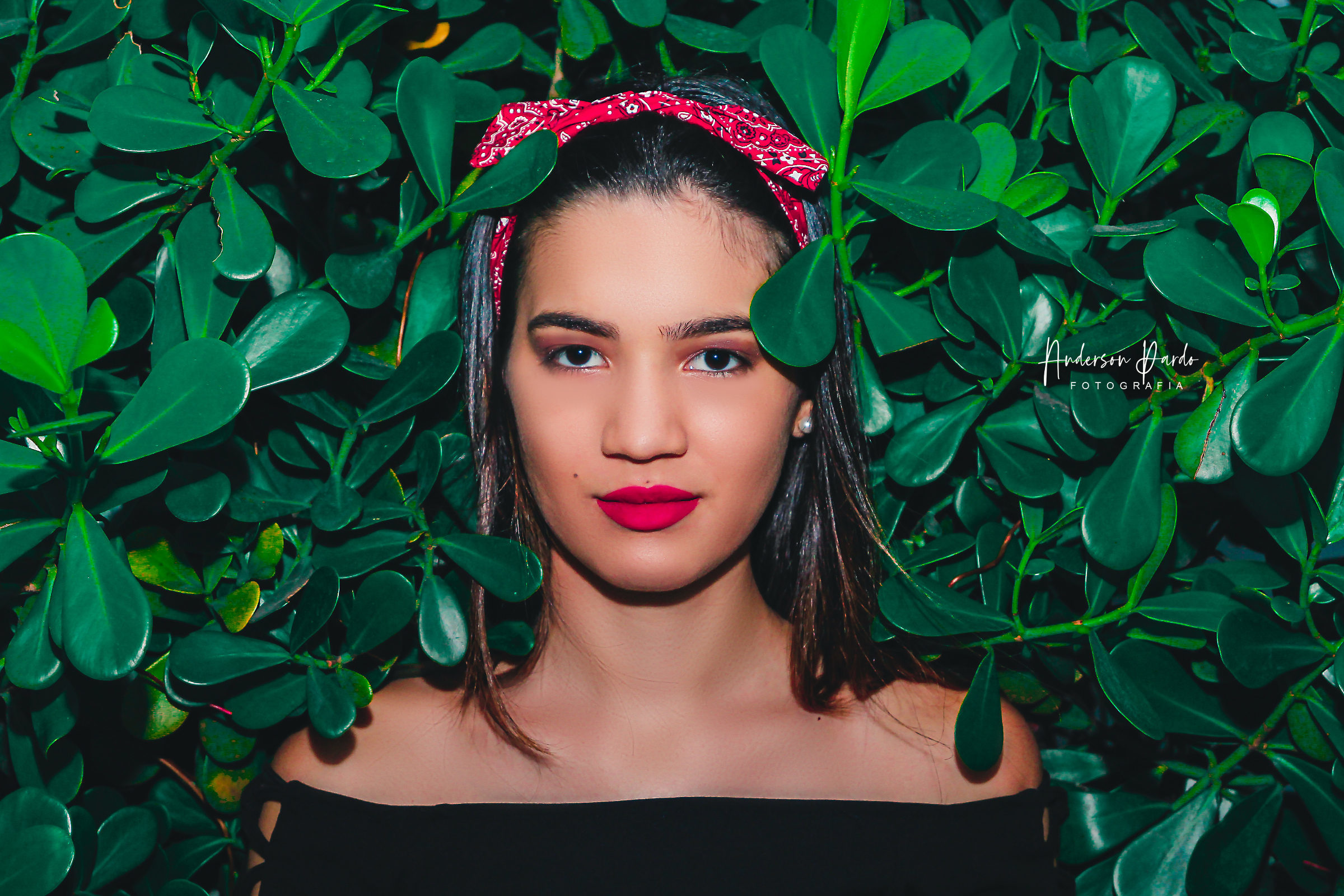 Foto de Anderson Pardo Fotografia 30