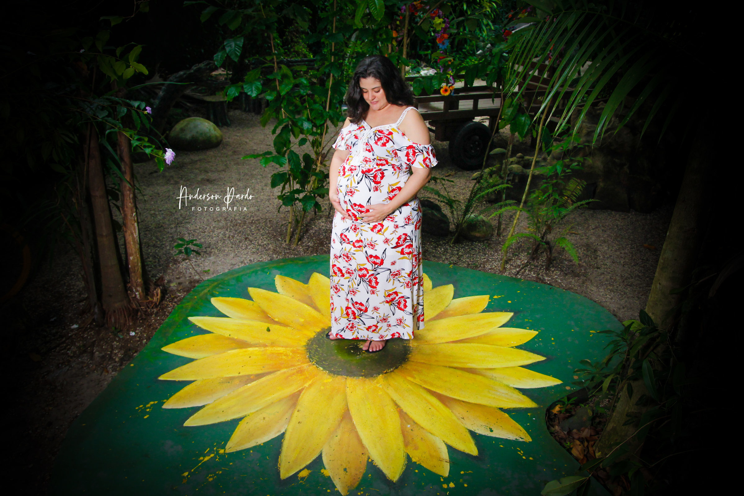 Foto de Anderson Pardo Fotografia 27